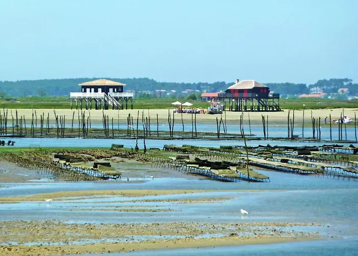 Zephyr-1 By Interhome